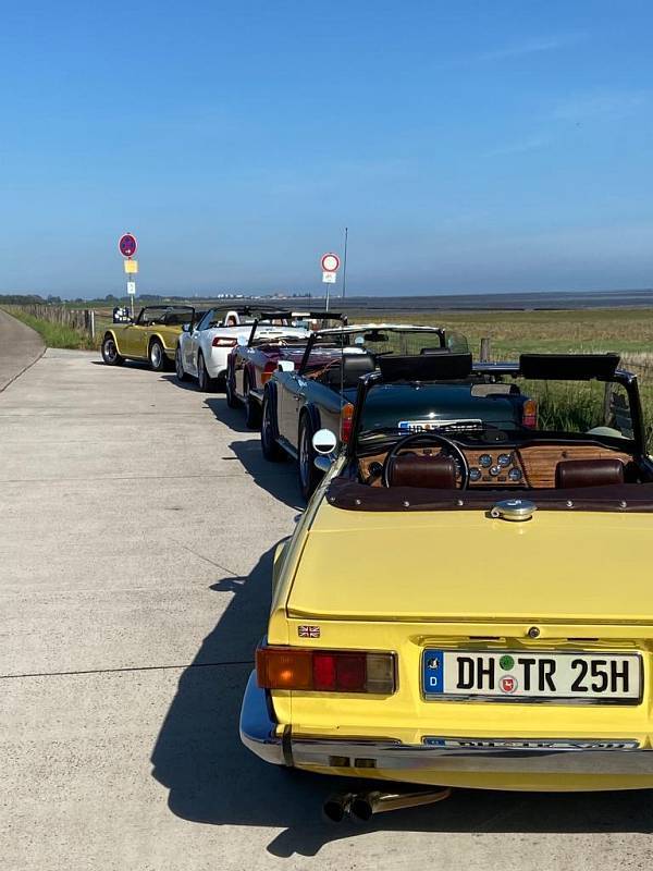 B-0990-2af98378-41a1-4290-81af-5dd082fef80a