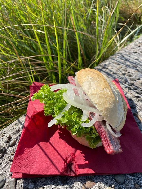 B-1140-1c8cea26-5175-4f0a-935b-56737c3d2cbd