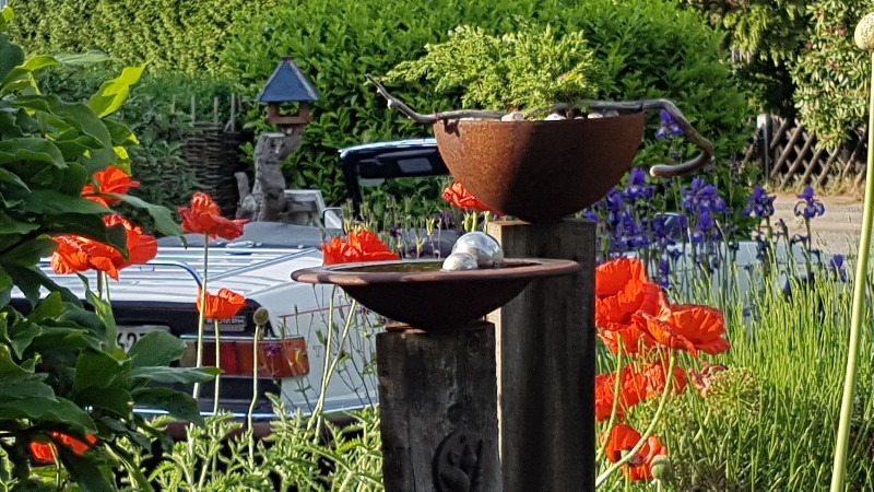 20190602_183718_copy_800x450