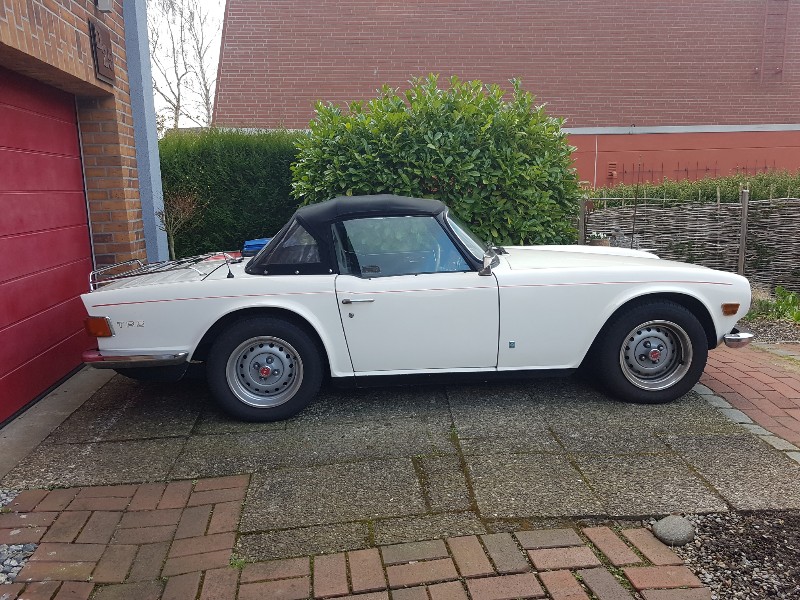 20200404_181850_copy_800x600