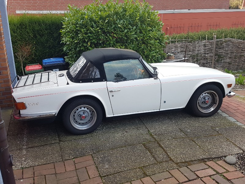 20200404_181944_copy_800x600